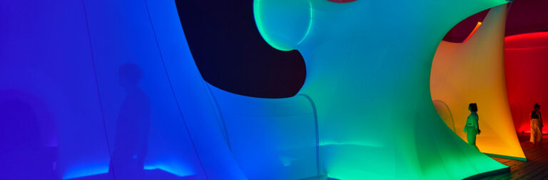 AMBIENTI 1956-2010. Environments by Women Artists II