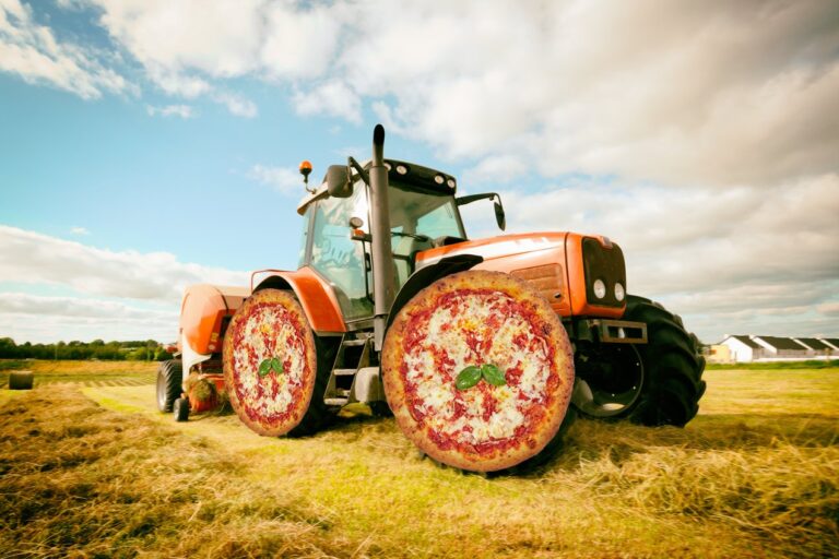 Pizza and Politics “Europe: the new agricultural policy”