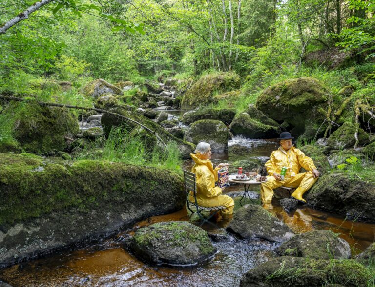 Sustainable FOOD art