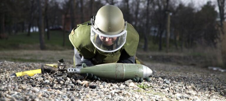 Conferenza UE sulla non proliferazione e il disarmo del 2024